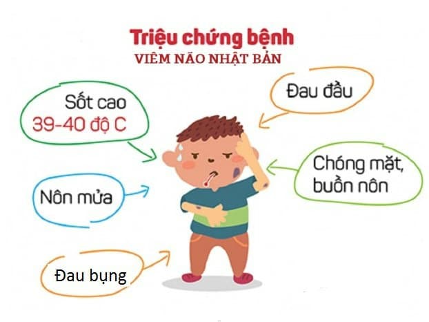 Bệnh viêm não Nhật Bản: Dấu hiệu, đường lây truyền và cách xử trí