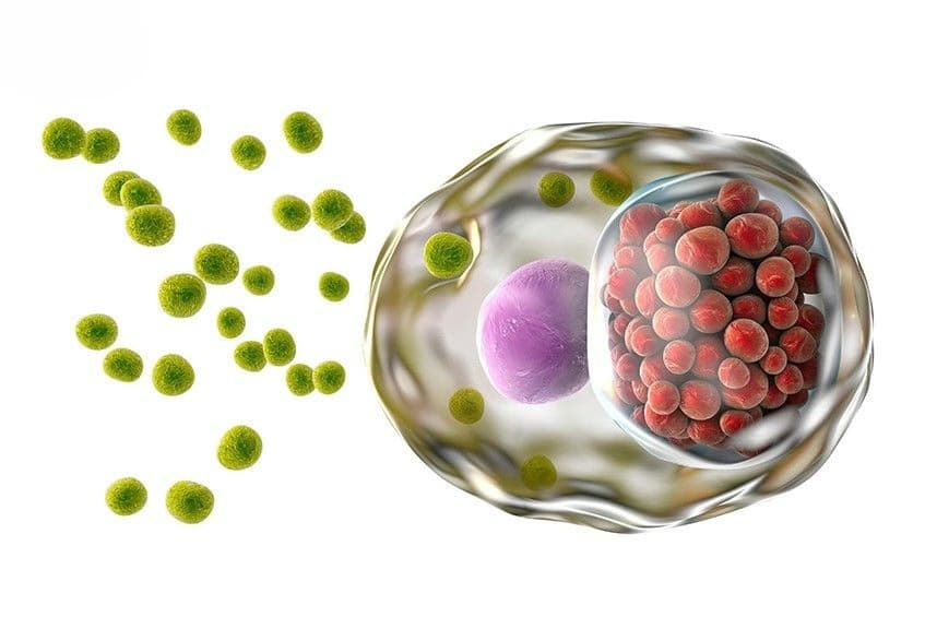 Nhiễm khuẩn Chlamydia: Nguyên nhân, dấu hiệu, biến chứng và cách xử trí