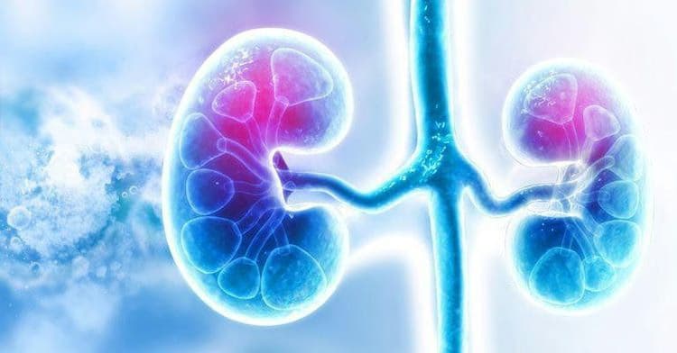 Tăng natri máu: Nguyên nhân, dấu hiệu và cách xử trí