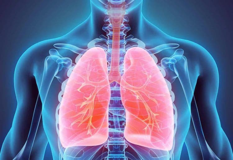 Bệnh bụi phổi: Khái niệm, nguyên nhân, triệu chứng và các phương pháp chẩn đoán