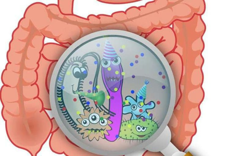 Loạn khuẩn đường ruột: Nguyên nhân, dấu hiệu và cách điều trị