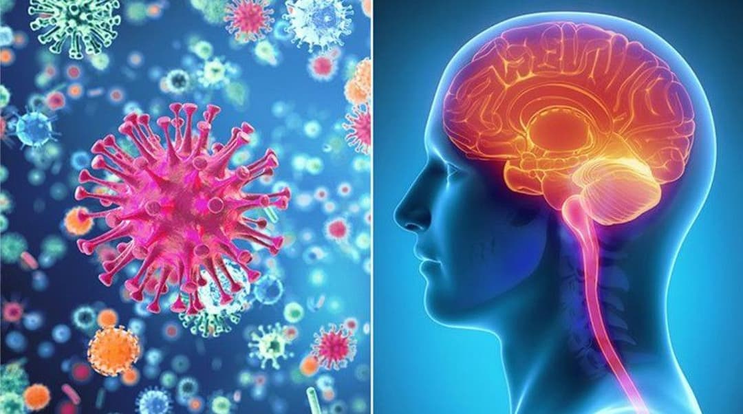 Bệnh viêm não: Nguyên nhân, dấu hiệu và cách điều trị
