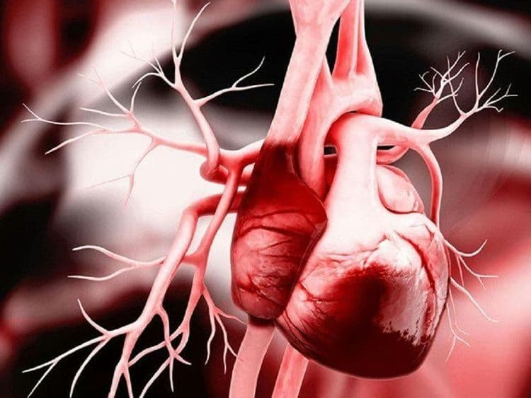 Chèn ép tim cấp: Nguyên nhân, triệu chứng và cách xử trí khẩn cấp