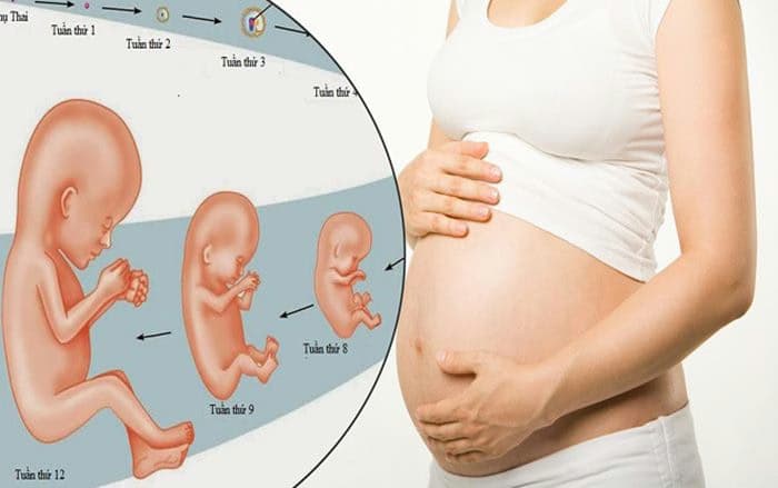 Suy dinh dưỡng bào thai: Dấu hiệu, nguyên nhân và cách chăm sóc