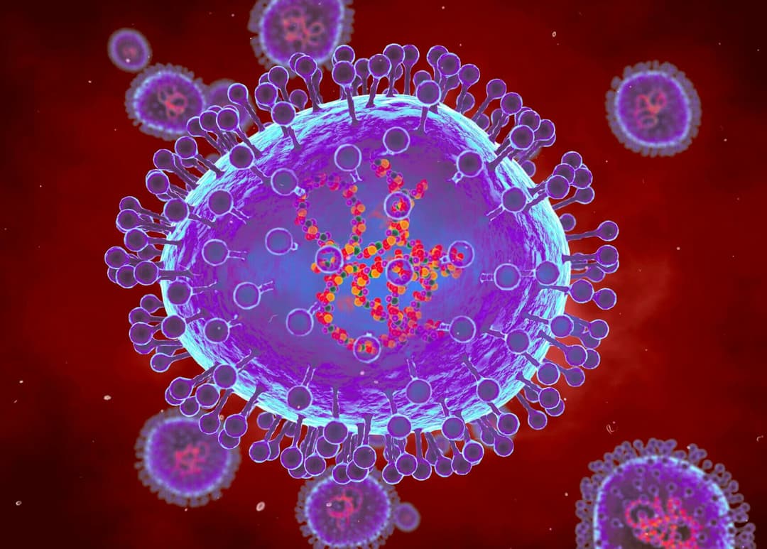 Viêm phổi do Metapneumovirus: Nguyên nhân, triệu chứng và cách chăm sóc