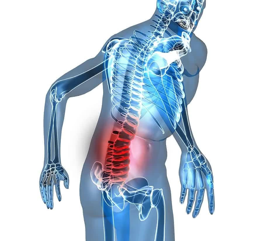 Đau vùng thắt lưng: Nguyên nhân, dấu hiệu cảnh báo và quy trình chẩn đoán