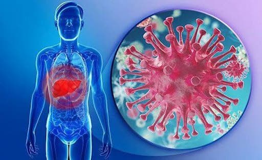 Viêm gan C: Nguyên nhân, triệu chứng, chẩn đoán và cách điều trị
