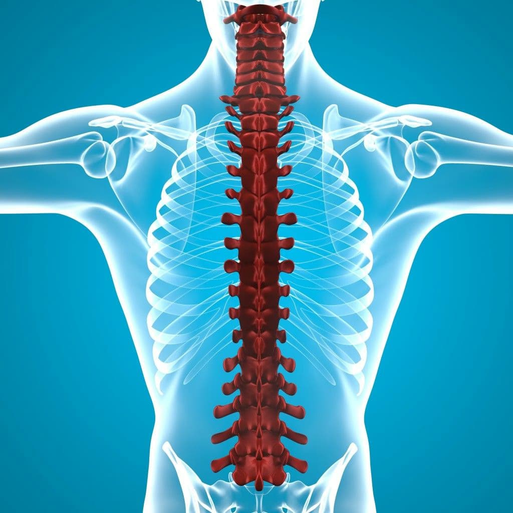 U tủy sống: Nguyên nhân, dấu hiệu và cách điều trị