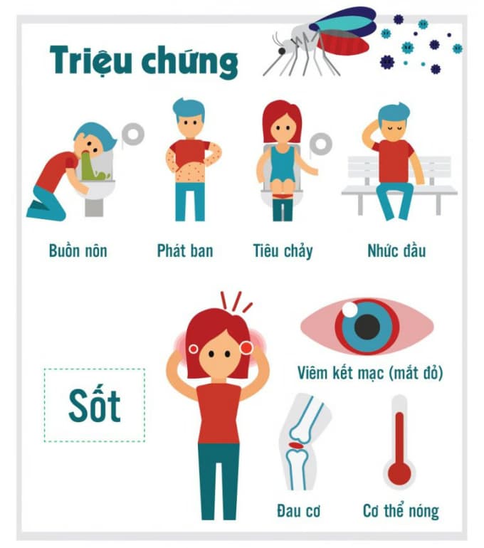 Sốt xuất huyết Dengue: Dấu hiệu, giai đoạn nguy hiểm và cách xử trí
