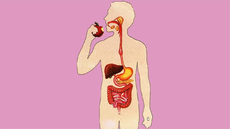 Loét tiêu hóa: Nguyên nhân, dấu hiệu và cách điều trị