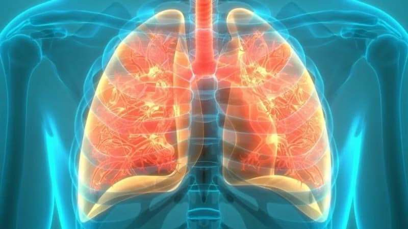 Bệnh viêm phế quản: Triệu chứng, nguyên nhân và các cách điều trị