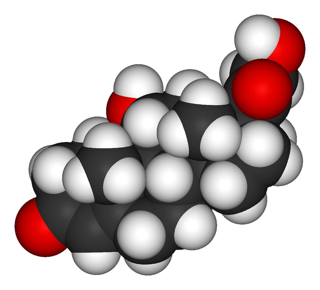 Cà phê buổi sáng có làm cortisol tăng cao không