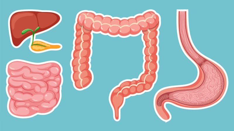 Diosmectite và những lưu ý khi sử dụng trong kiểm soát tiêu chảy