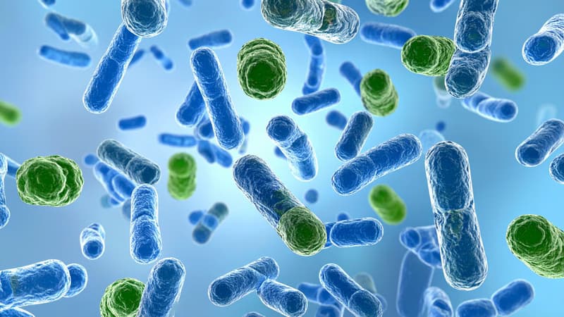 Ngộ độc botulinum nguy hiểm như thế nào và cách phòng ngừa