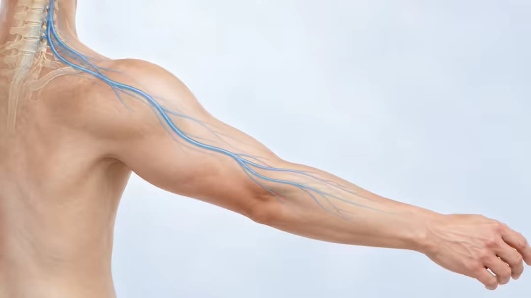 Ngứa brachioradial là gì và nguyên nhân gây ngứa cẳng tay kéo dài