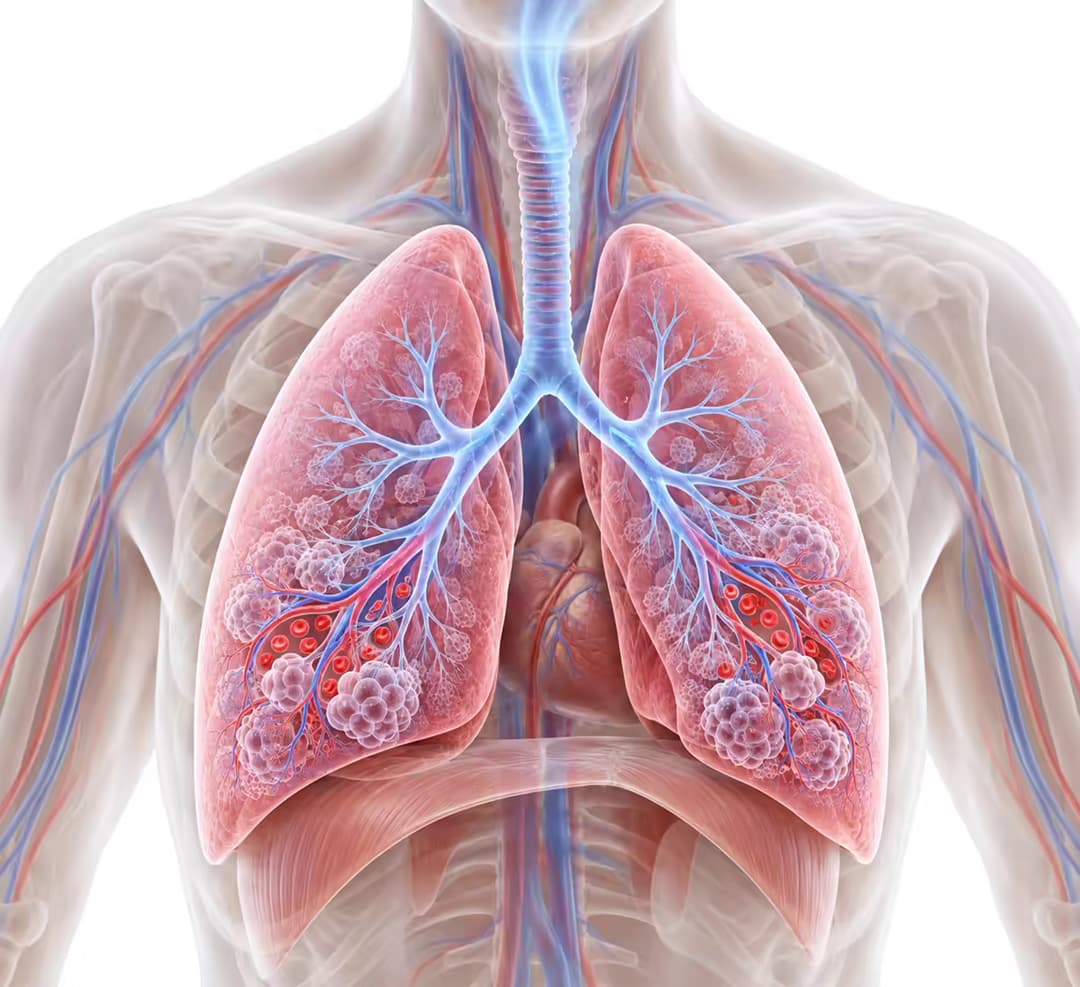 Oxygen là gì và vai trò của oxy đối với cơ thể người