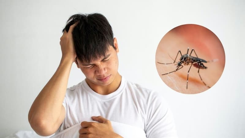 Phân biệt viêm não Nhật Bản và sốt xuất huyết