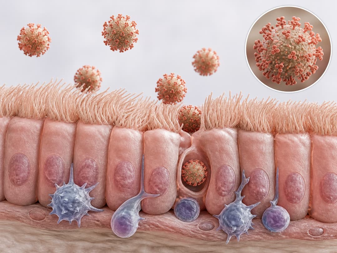 Nhiễm Metapneumovirus ở người: Nguyên nhân, triệu chứng và cách chăm sóc