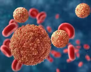 Nhiễm Arbovirus: Nguyên nhân, triệu chứng và các biện pháp phòng ngừa