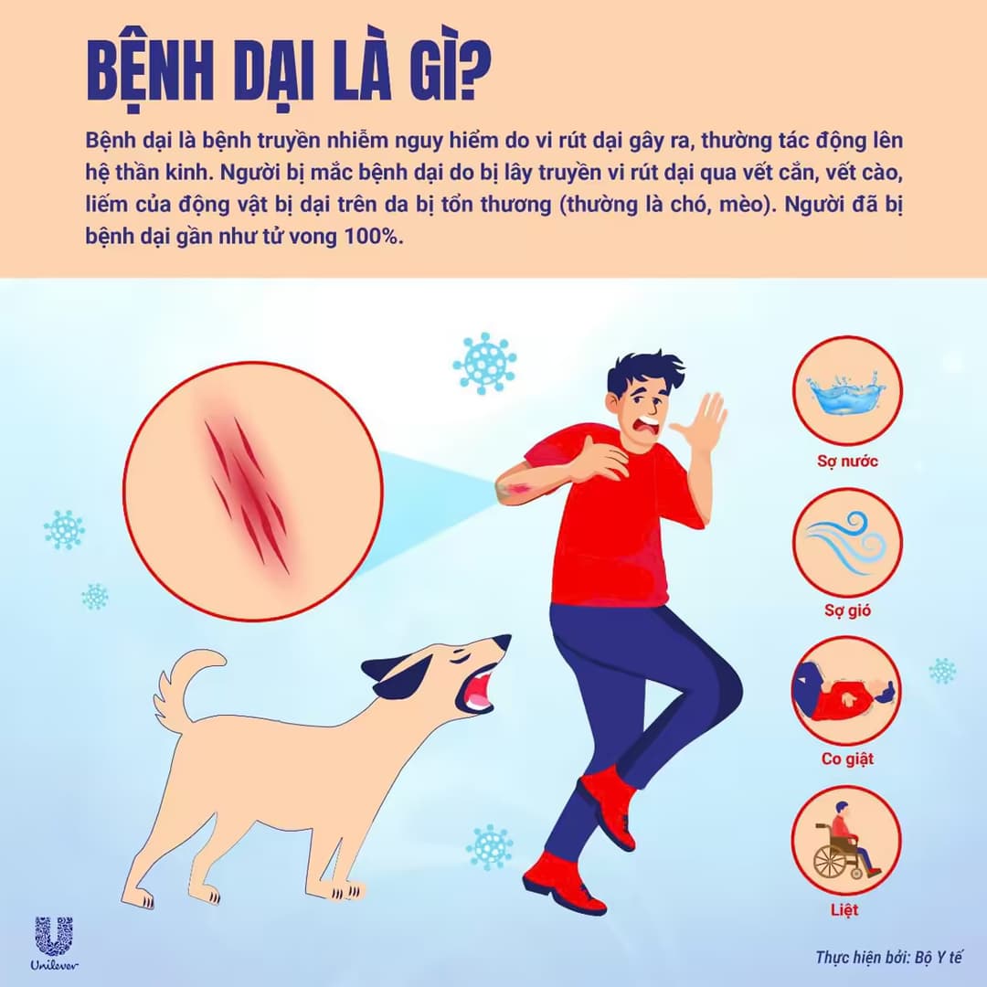 Bệnh dại: Nguyên nhân, triệu chứng và các biện pháp dự phòng