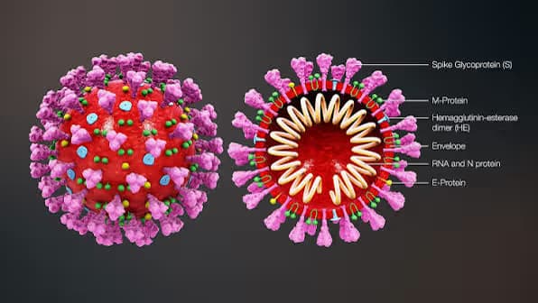 Nhiễm virus SARS-CoV-2: Nguyên nhân, triệu chứng, biến chứng và cách xử trí