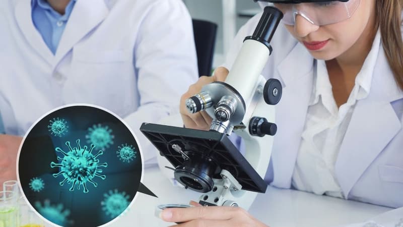 Sinh phẩm y tế là gì và vai trò trong phòng bệnh, điều trị