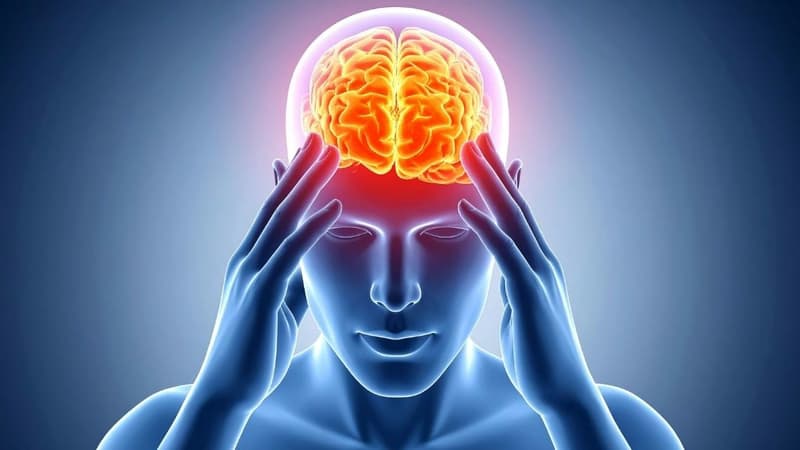 Thuốc bổ não: Công dụng, các loại phổ biến và lưu ý khi sử dụng
