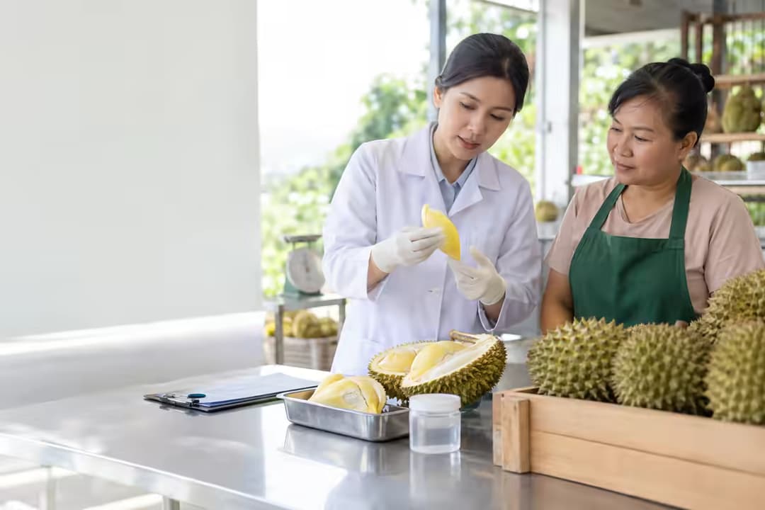 Thuốc nhúng sầu riêng có độc không và nguy cơ đối với sức khỏe