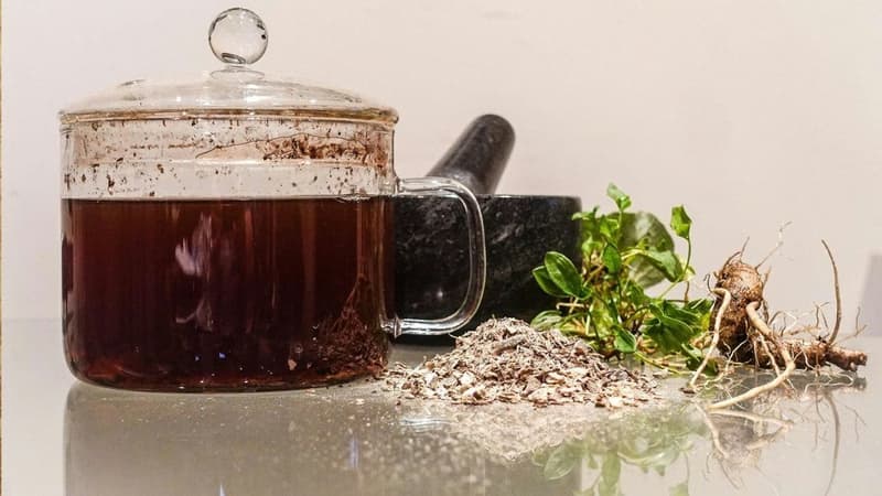 Trà Essiac: Nguồn gốc, công dụng thảo dược và những lưu ý khi dùng