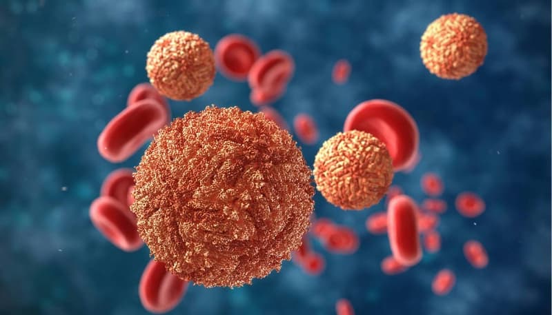 Virus sốt xuất huyết có mấy loại và lây truyền qua đường nào