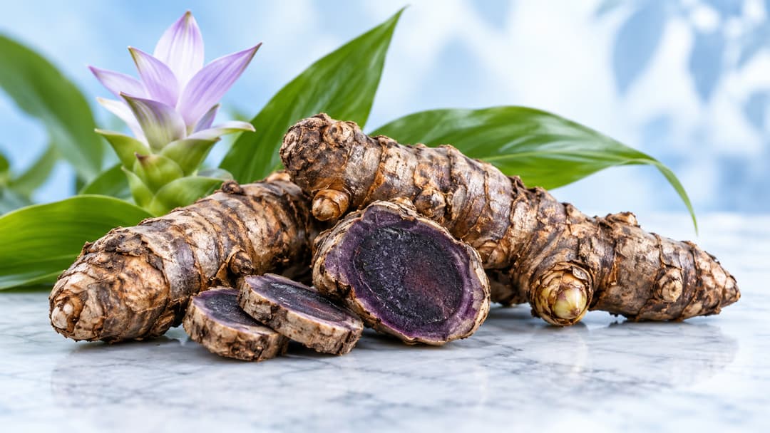 Nghệ đen có tác dụng gì và những lưu ý an toàn khi sử dụng