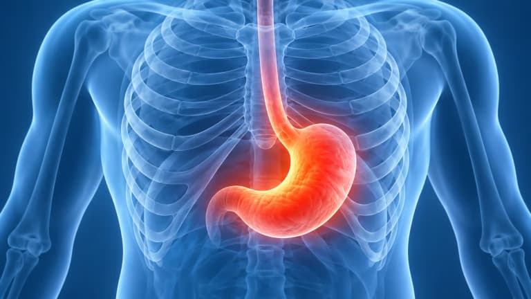 Đau dạ dày ở vị trí nào và những nguyên nhân phổ biến thường gặp