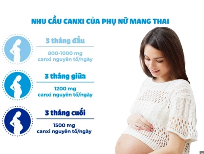 Hàm Lượng Canxi Cho Bà Bầu Theo Khuyến Cáo Của WHO