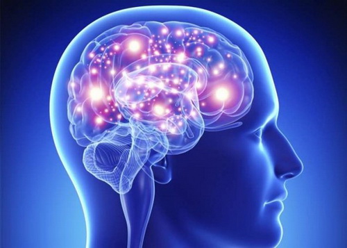 Những khám phá mới về não bộ