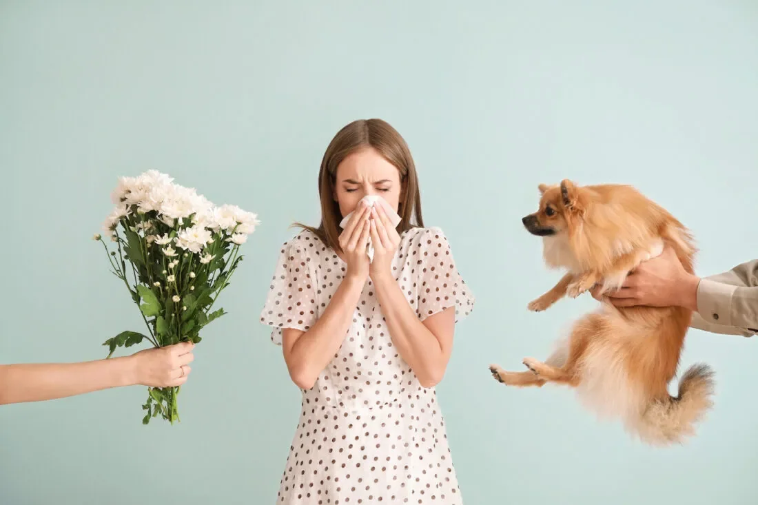 Người phụ nữ bị viêm mũi dị ứng khi tiếp xúc với phấn hoa và thú cưng
