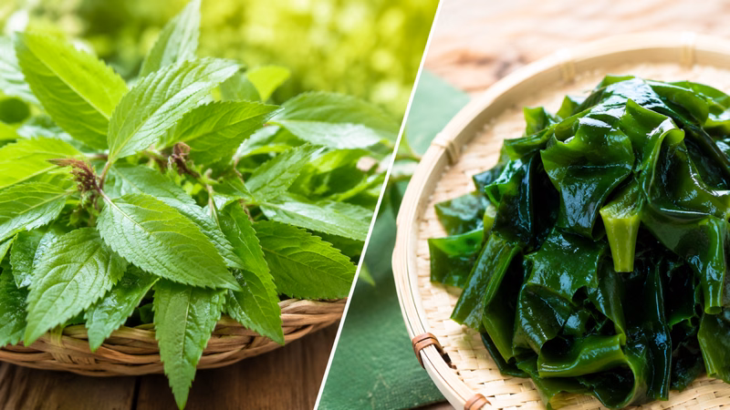 Bổ sung đa dạng thực phẩm giàu canxi giúp duy trì hệ xương chắc khỏe