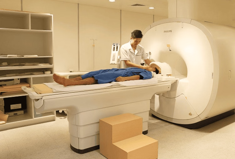 Minh họa bao myelin bị tổn thương trong hệ thần kinh trung ương ở người mắc bệnh xơ cứng rải rác