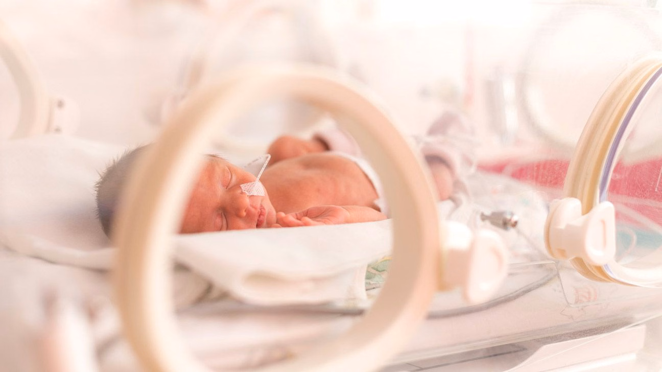 Bác sĩ nhãn khoa tiến hành soi đáy mắt tầm soát bệnh võng mạc cho trẻ sơ sinh non tháng