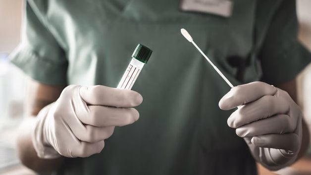 Minh họa hình thái song cầu khuẩn Neisseria gonorrhoeae và các vị trí biểu mô thường bị nhiễm lậu cầu