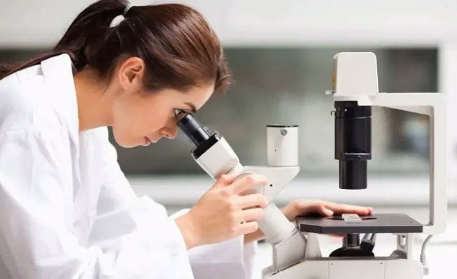 Bác sĩ chuyên khoa phụ sản thăm khám phụ khoa và lấy dịch âm đạo để soi tươi chẩn đoán bệnh trùng roi sinh dục