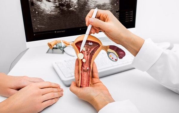 Hình ảnh siêu âm buồng trứng theo dõi sự phát triển của nang noãn