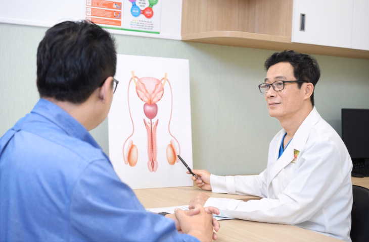 Minh họa vị trí giải phẫu tinh hoàn và thừng tinh trong túi bìu ở nam giới