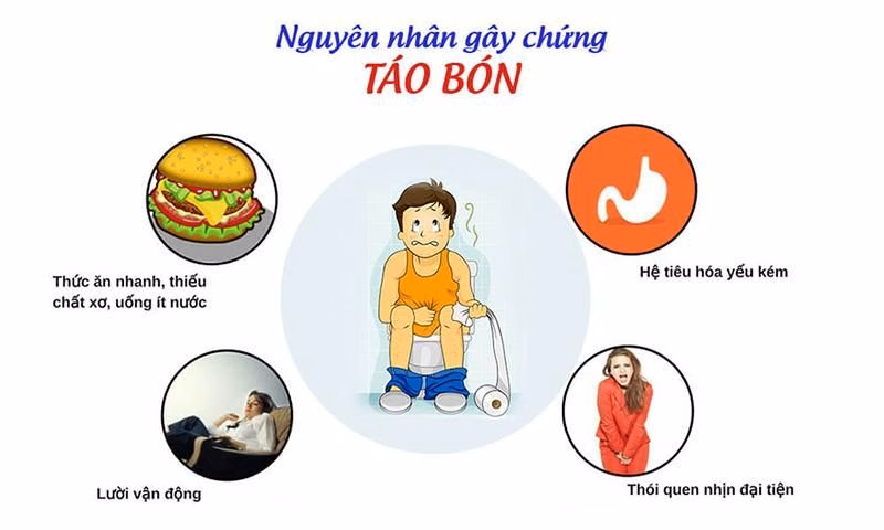 Bác sĩ chuyên khoa tiêu hóa đang thăm khám lâm sàng và tư vấn chế độ dinh dưỡng cho người bệnh táo bón