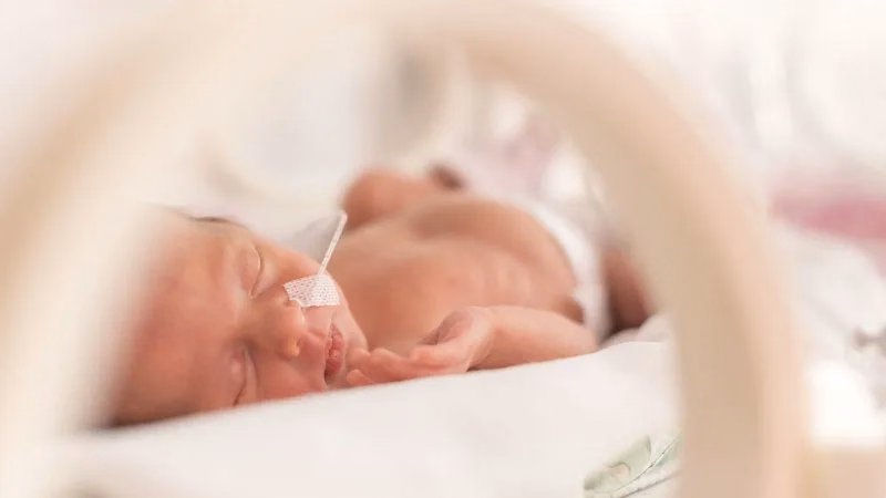 Trẻ sinh non nằm trong lồng ấp thuộc nhóm đối tượng có nguy cơ cao bị khiếm thính và câm bẩm sinh