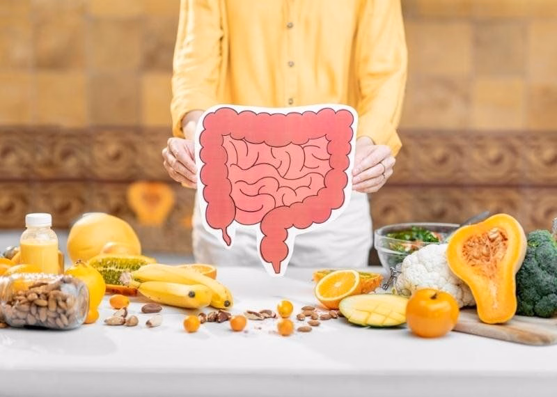 Hình ảnh giải phẫu vị trí phát sinh u mô đệm đường tiêu hóa tại dạ dày và ruột non