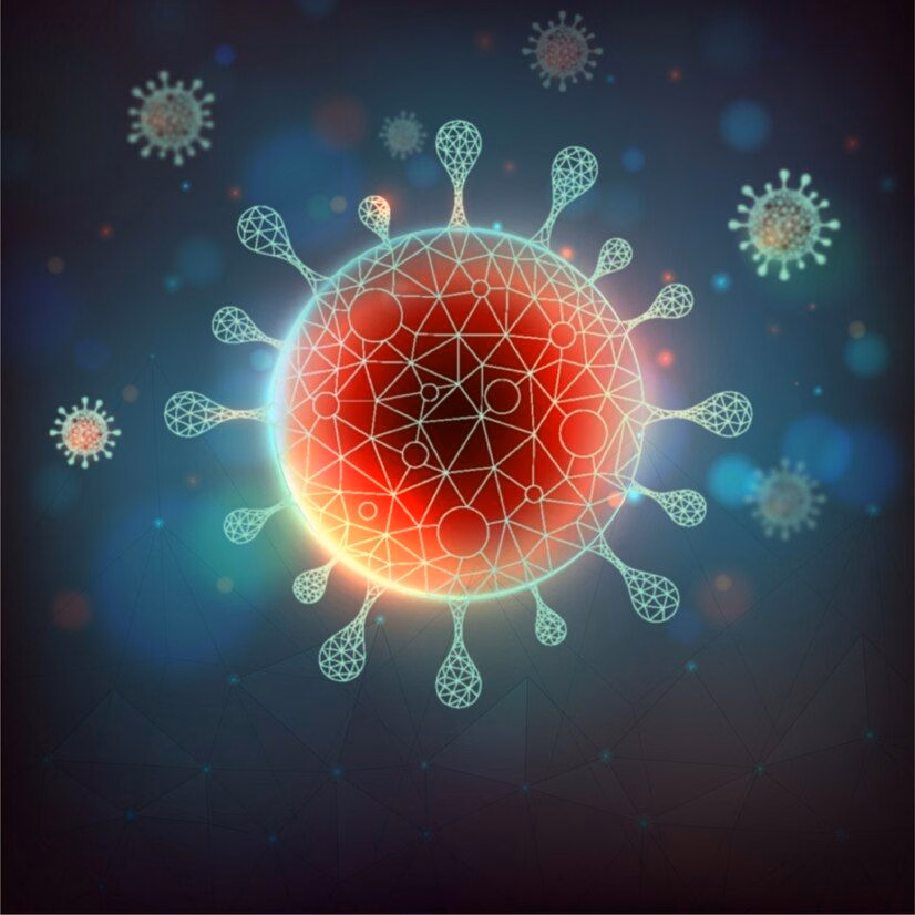 Mô hình so sánh cấu trúc tế bào gan khỏe mạnh và tình trạng gan bị xơ hóa do nhiễm virus viêm gan C mạn tính kéo dài