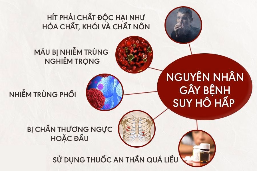 Hệ thống thiết bị hỗ trợ hô hấp chuyên sâu và máy thở hiện đại tại khoa hồi sức cấp cứu