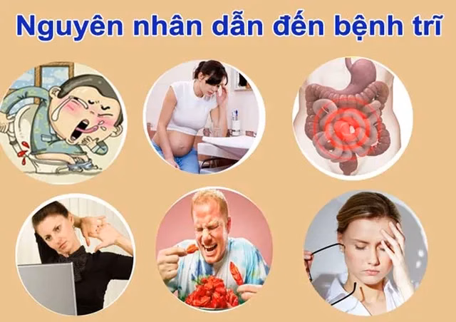 Bữa ăn giàu chất xơ với rau xanh và trái cây tươi giúp phòng ngừa táo bón và bệnh trĩ