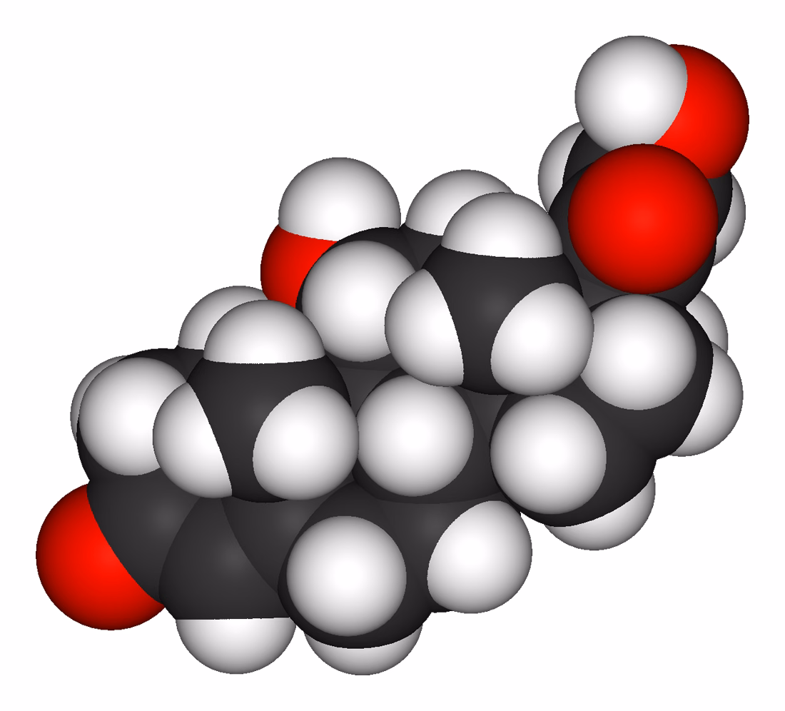 Ly cà phê buổi sáng và minh họa sự thay đổi nồng độ hormone cortisol trong cơ thể