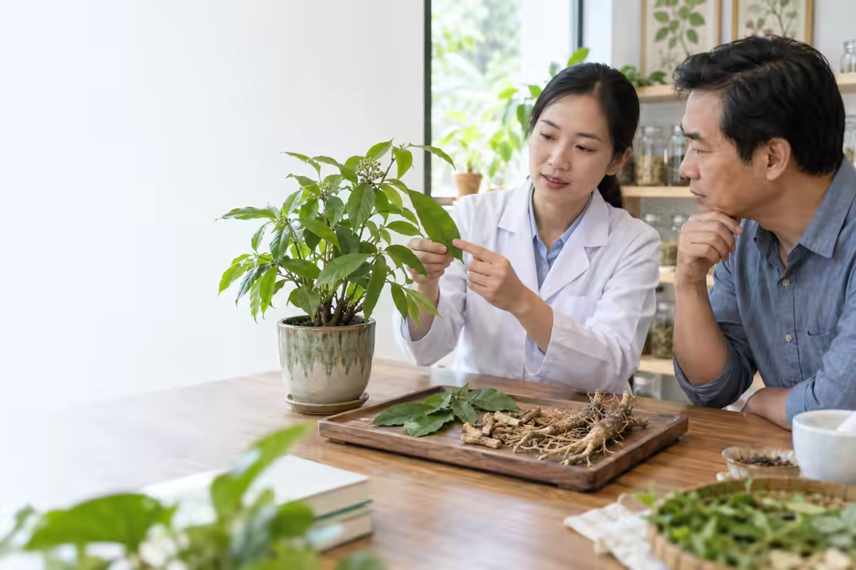 Dược sĩ giới thiệu đặc điểm cây ba gạc và lưu ý khi sử dụng